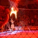 Circus